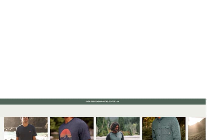 be your shopify expert and shopify developer brand store